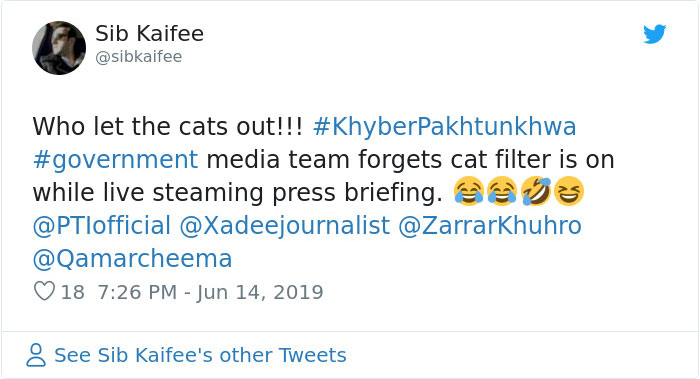 Pakistani Government Officials Accidentally Turn On Cat Filter During Facebook Live, Hilarity Ensues