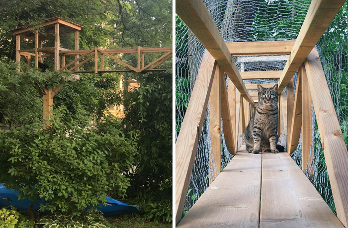 Cat Patios, Known As Catios, Are The Latest Way To Spoil Your Beloved Kitty (30 Pics)
