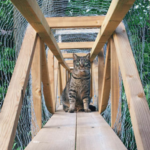 Cat Patios, Known As Catios, Are The Latest Way To Spoil Your Beloved Kitty (30 Pics)