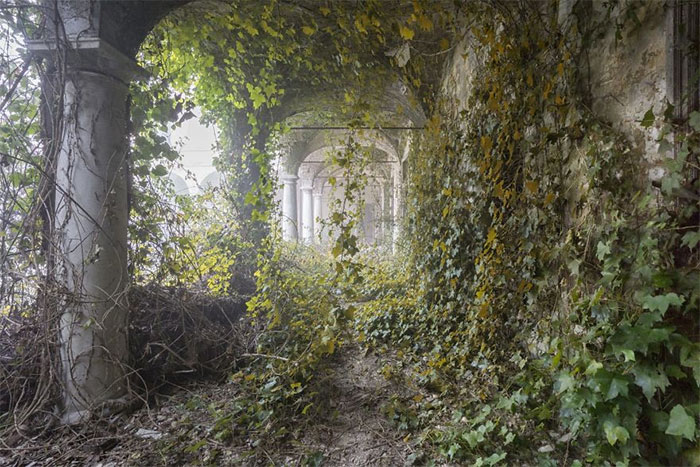 I Found Places Where Nature Takes Over Places Abandoned By Humans