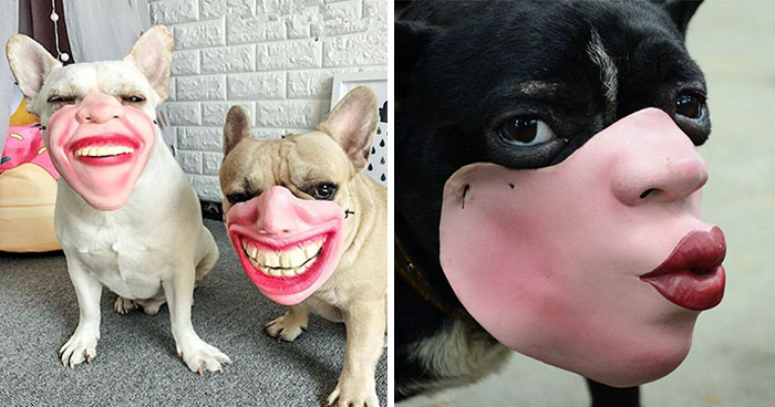 Amazon Is Selling Dog Muzzles That Look Like Human Faces And They’re Too Bizarre