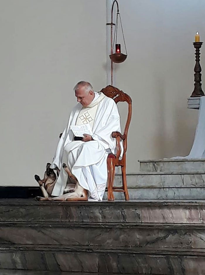 Priest Has An Adorable Reaction To A Dog Who Crashed His Church Service