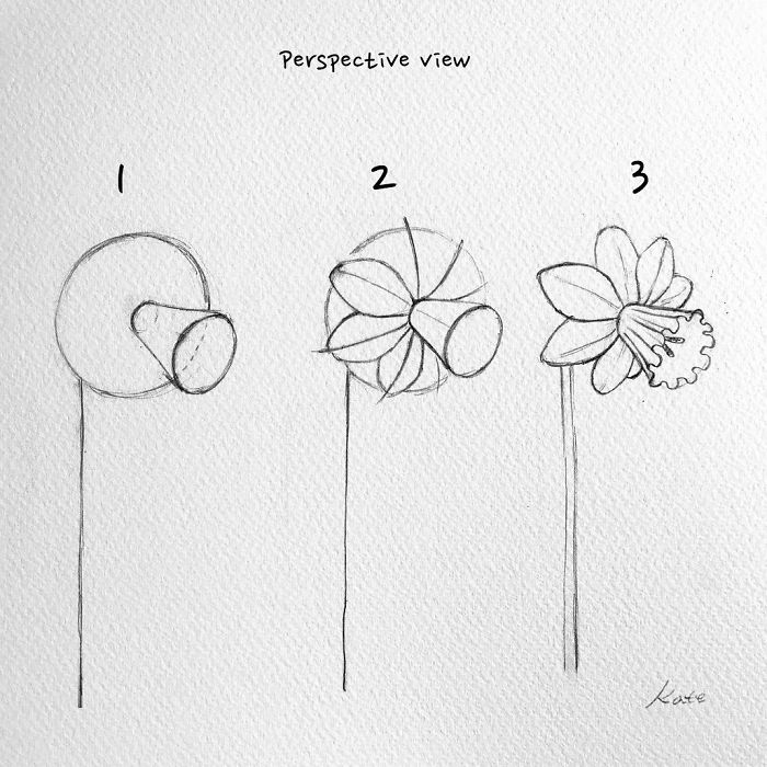 How To Draw A Flower Step By With Pencil Best Flower Site How To Draw A Flower Step By With Pencil Best Flower Site