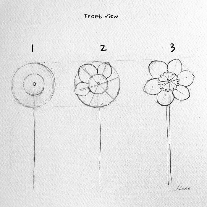 Korean Artist Uploads Step By Step Tutorials On How To Draw Beautiful Flowers