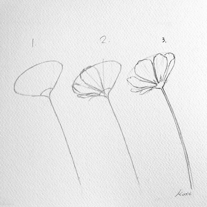 Korean Artist Uploads Step By Step Tutorials On How To Draw Beautiful Flowers