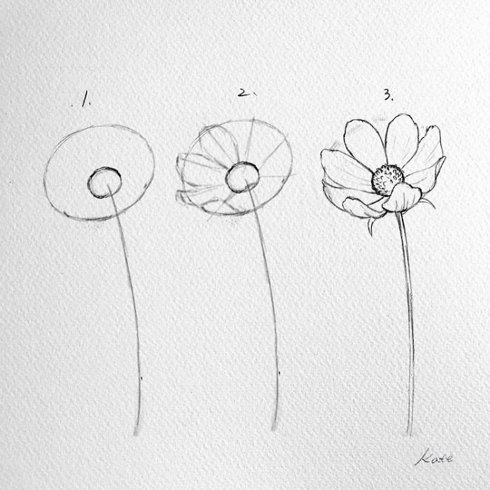 شاهد فنانة كورية تكشف عن كيفية رسم زهور مثالية في 3 خطوات بسيطة