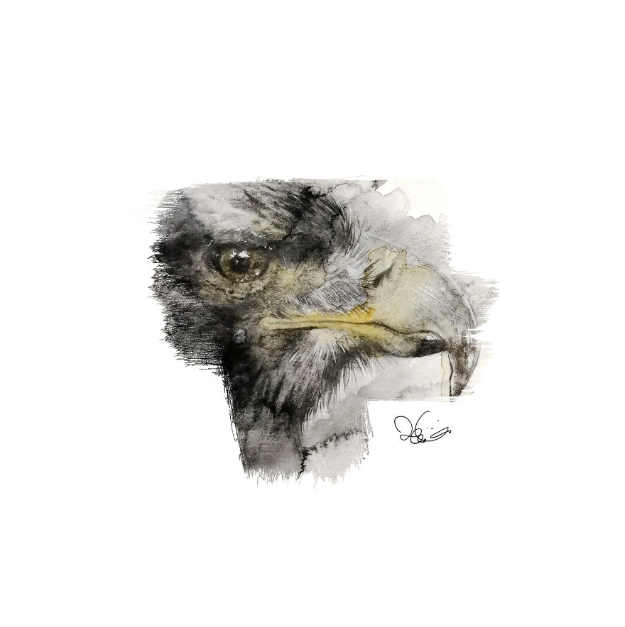 I Started Drawing Animals For First Time In Years And Learned A New Art Style Along The Way I Started Drawing Animals For First Time In Years And Learned A New Art Style Along The Way