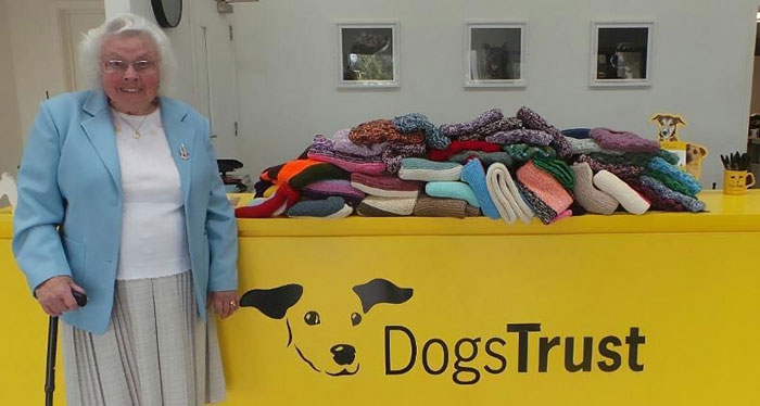 89-Year-Old Woman Has Knitted 450 Blankets For Shelter Dogs, And It's Adorable