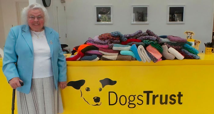 89-Year-Old Woman Has Knitted 450 Blankets For Shelter Dogs, And It’s Adorable
