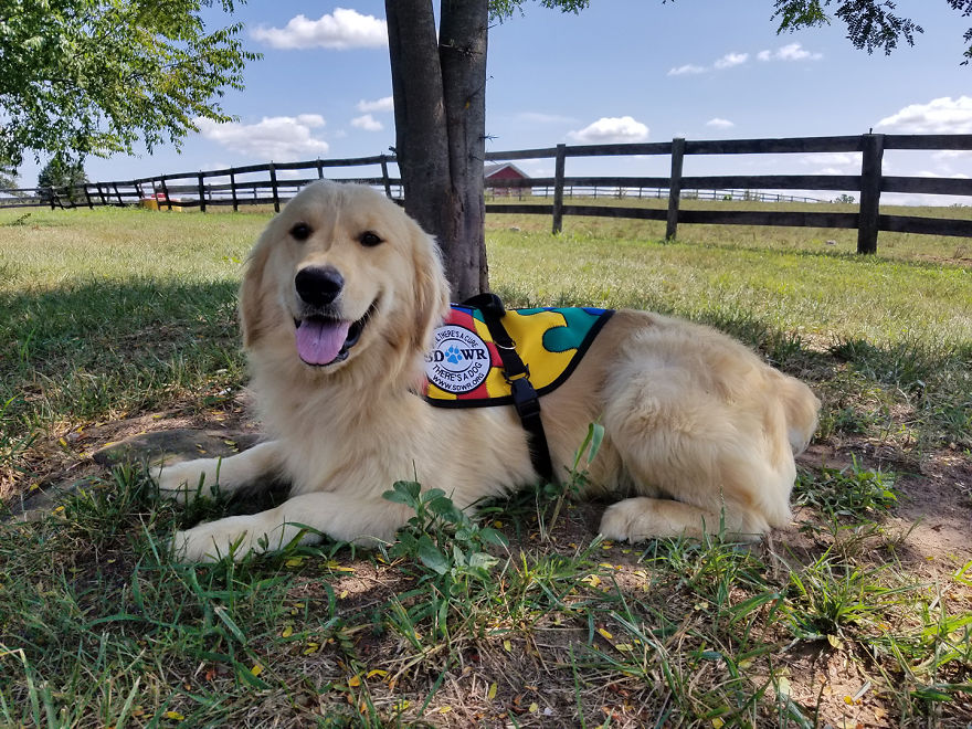 I'm Trying To Raise Money To Provide Service Dogs To Children With Autism I'm Trying To Raise Money To Provide Service Dogs To Children With Autism