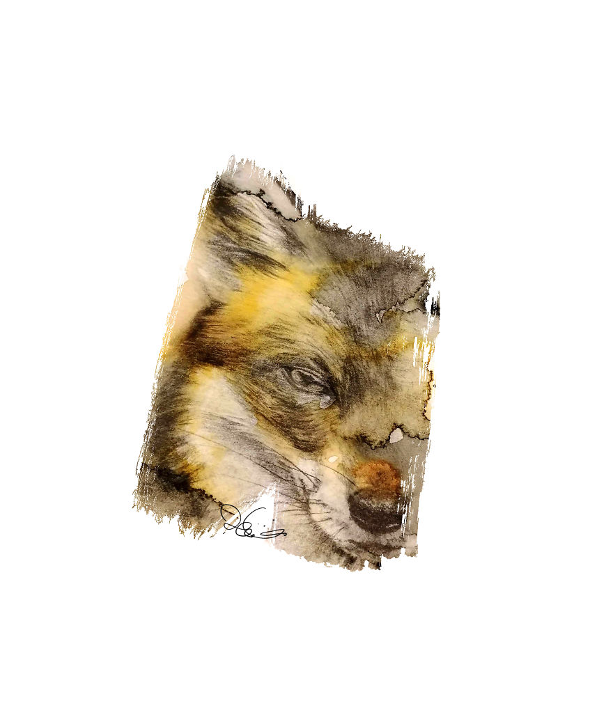 I Started Drawing Animals For First Time In Years And Learned A New Art Style Along The Way I Started Drawing Animals For First Time In Years And Learned A New Art Style Along The Way