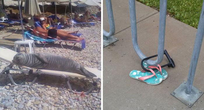 33 Times People Witnessed Something Interesting At The Beach And Just Had To Share It
