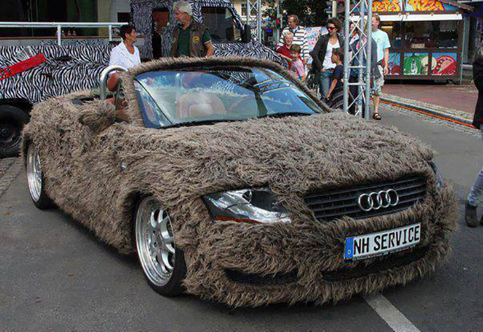 ¿Y qué tal un Audi peludo?