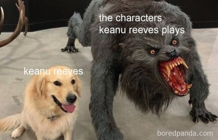 Funny-Keanu-Reeves-Memes