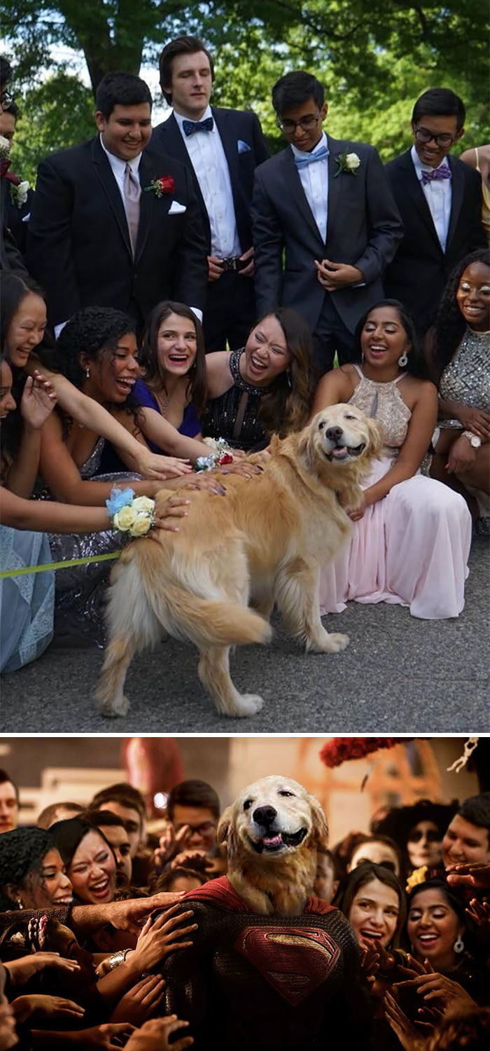 This Smiling Dog At Prom