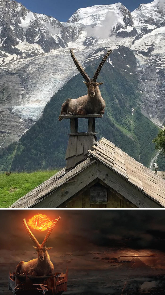 Goat Sitting On A House