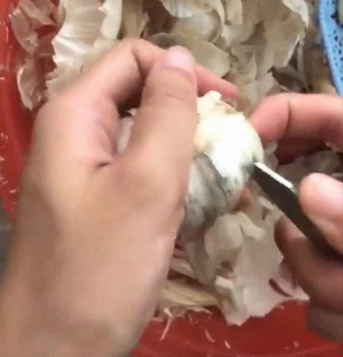 Woman's Garlic Peeling Hack Goes Viral And People Regret The Time They Wasted Doing It The Wrong Way