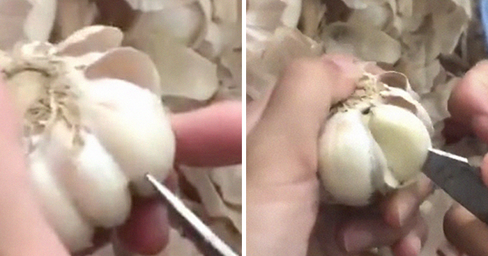Woman’s Garlic Peeling Hack Goes Viral And People Regret The Time They Wasted Doing It The Wrong Way
