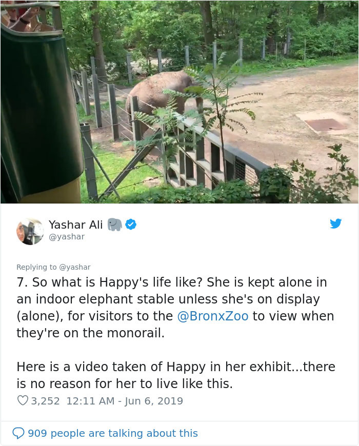 People Are Trying To Convince The Bronx Zoo To Release Happy The Elephant And This Thread Explains Why