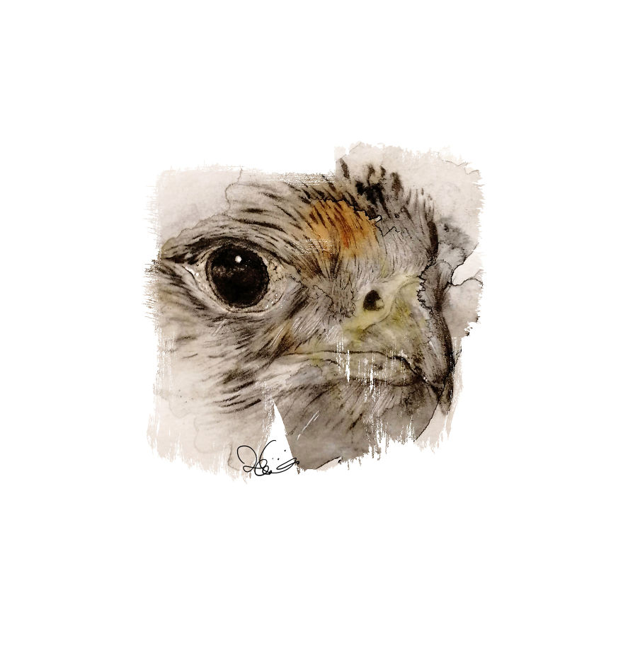 I Started Drawing Animals For First Time In Years And Learned A New Art Style Along The Way I Started Drawing Animals For First Time In Years And Learned A New Art Style Along The Way