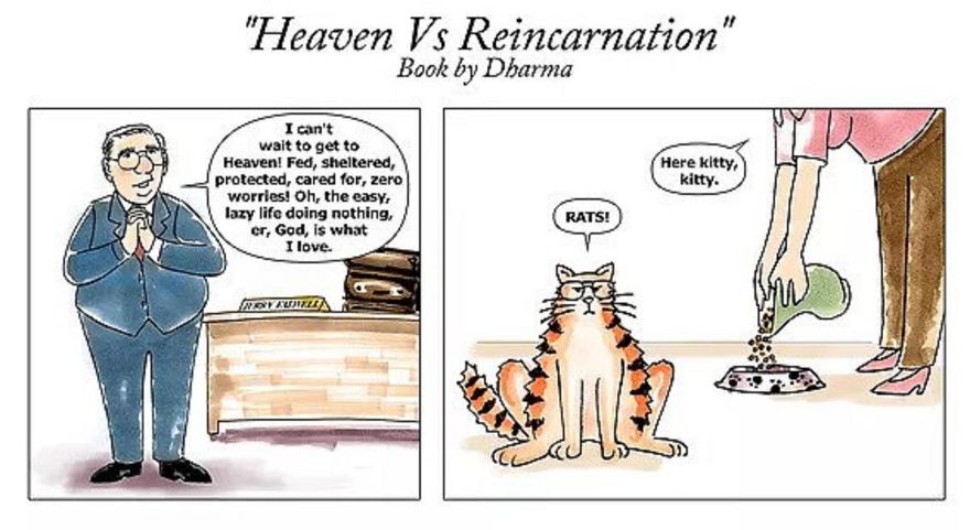 Heaven Or Reincarnation