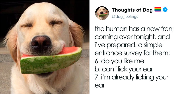 30 Of The Funniest Dog Thoughts That Dog Owners Will Understand Too Well