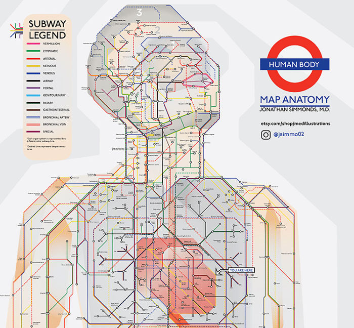 Doctor Reimagines The Human Body As A Subway Map