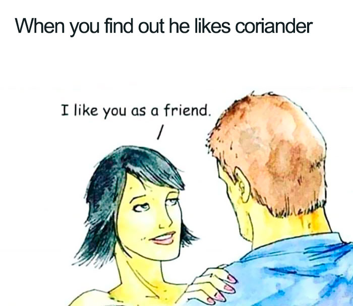 I Hate Coriander
