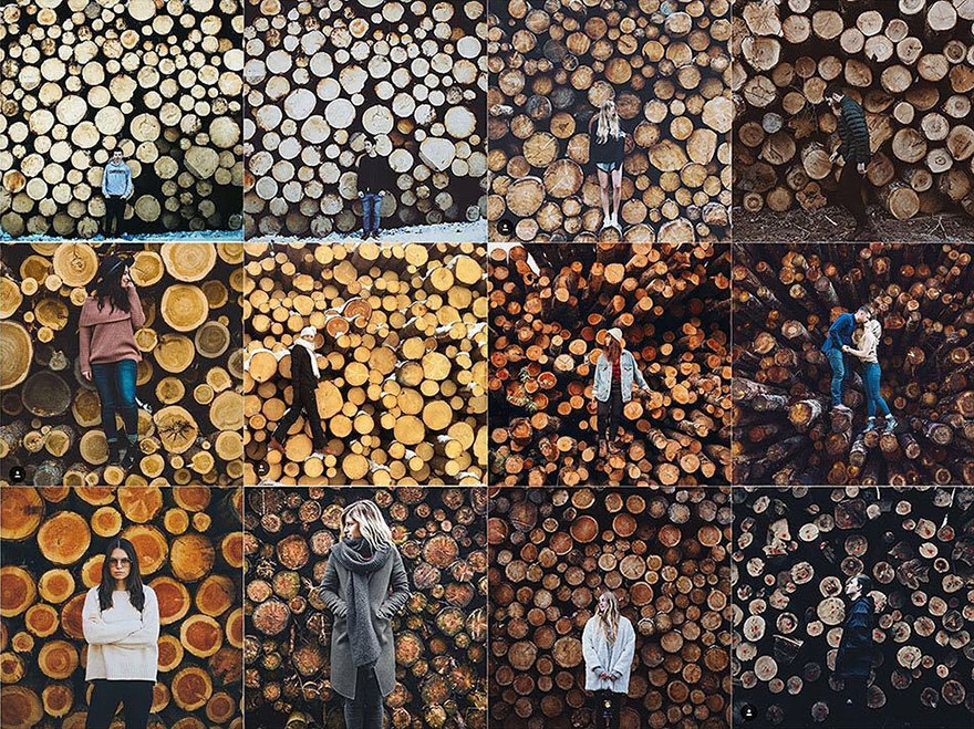 Full Frame Backdrop Of Logs Portrait