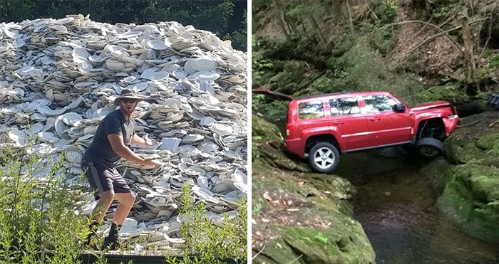 40 Times People Found Something Weird In The Woods And Just Had To Share