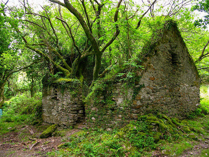 Cabaña de piedra abandonada en Irlanda
