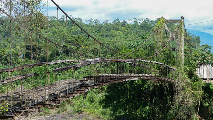 Abandoned Bridge Near Manu, Peru Getting Overgrown With Vines