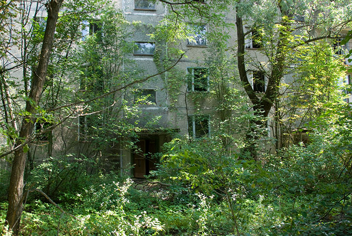 Pripyat: Nature Taking Over