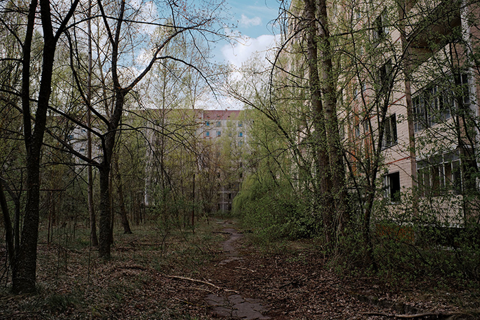 Pripyat Is No Longer The Ghost Town What It Was. Now It Is Consumed By The Forest And Plants. Nature Persistently Takes It Back