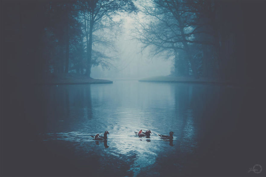 I Capture The Fairy-Tale Like Magic Of Nature