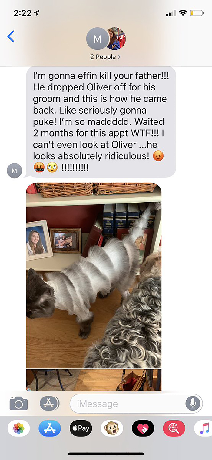 Dad Takes Family Cat To Pet Groomer And Returns With A Cat That Looks Like Accordion