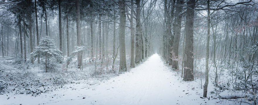 I Capture The Fairy-Tale Like Magic Of Nature