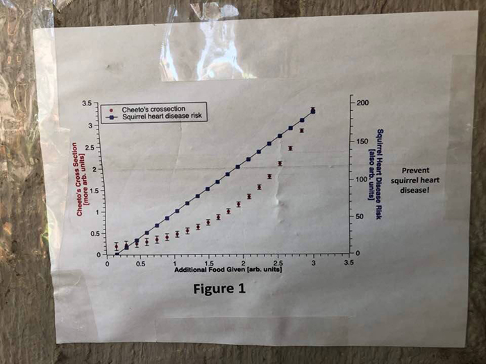 Students Come Up With An Ingenious And Funny Graph To Stop People From Feeding Their Overweight Campus Cat