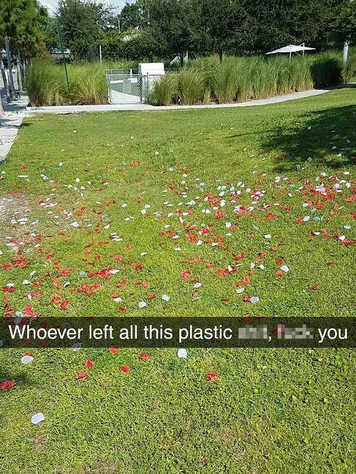 Looks Like Some People Had A Celebration And Left All These Plastic Petals Behind, Which Were Being Blown Into The River. It Took Me A Half Hour To Clean The Damn Mess
