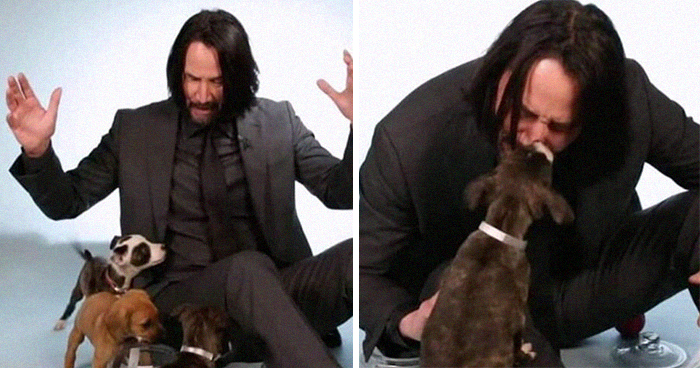 27 Awesome Things About Keanu Reeves That Will Make You Fall In Love With Him Even More