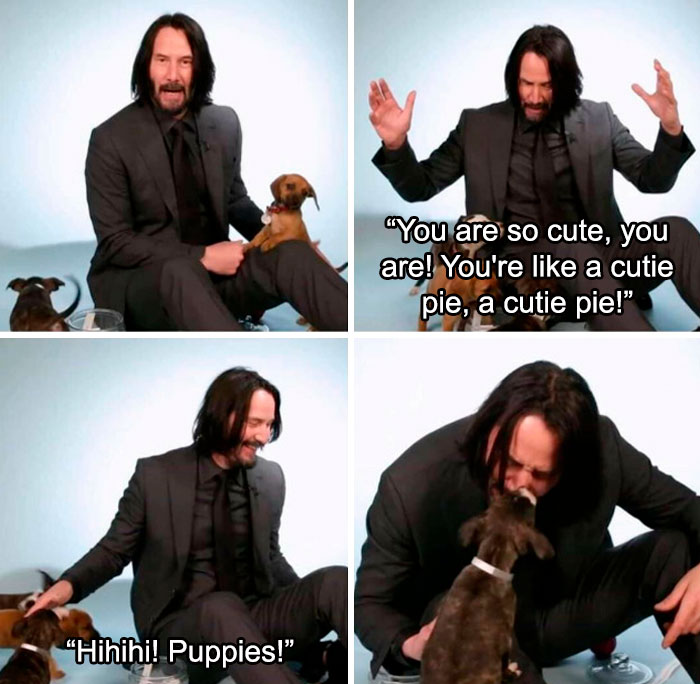 27 Awesome Things About Keanu Reeves That Will Make You Fall In Love With Him Even More Bored Panda