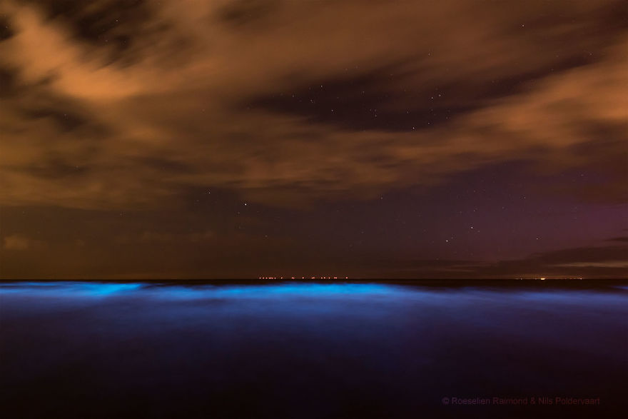 My 10 Fairy-Like Pics Show The Presence Of Sea Sparkle On The Dutch Coast