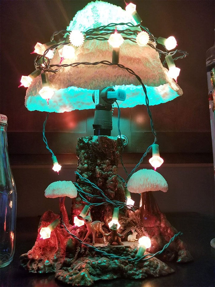 Scored This Mushroom Lamp A Few Years Ago. Added The Green Light And The Christmas Lights