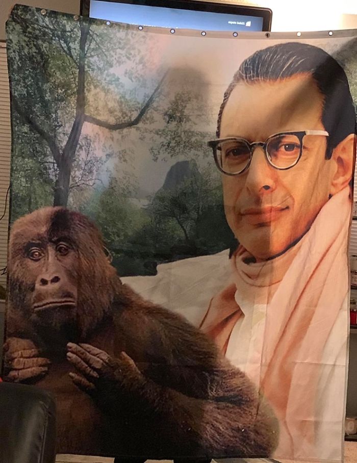 A Jeff Goldblum Shower Curtain!!! We Had To Buy It! Found It At A Local Goodwill
