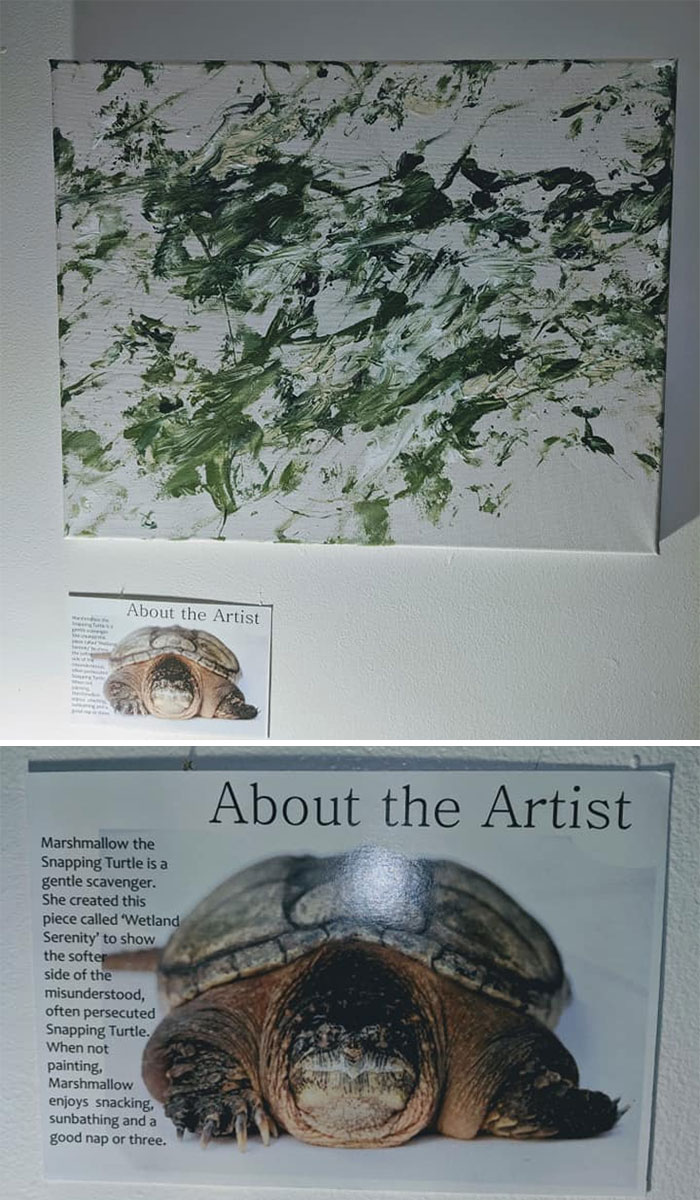 Vimos este cuadro pintado por una tortuga mordedora