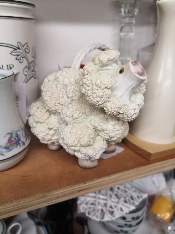 Spotted This Cauliflower Cow In In Woolston, UK