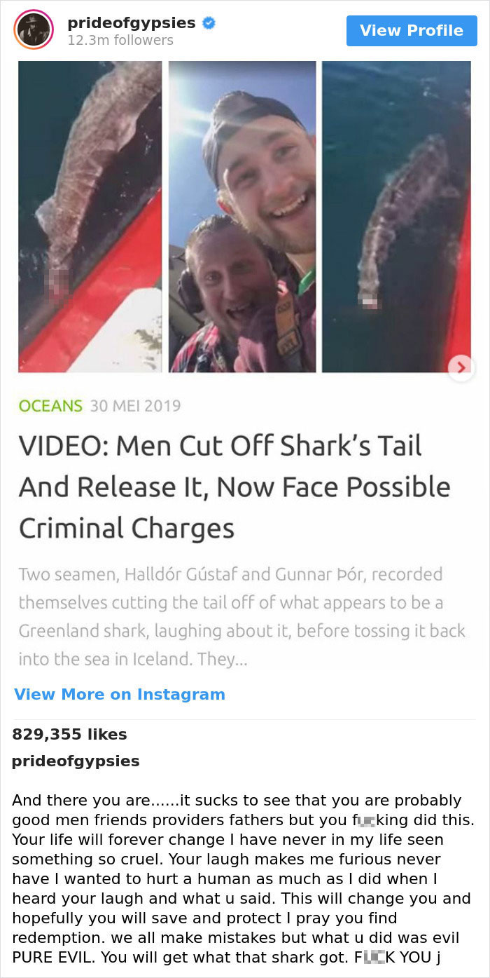 Jason Momoa’s Message To Two Fishermen Who Cut Off Shark’s Tail And Released It Back To The Sea Goes Viral