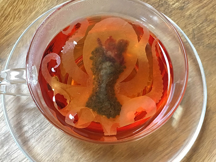 Japanese Company Creates Sea Creature Teabags That “Come Alive” Inside Your Cup