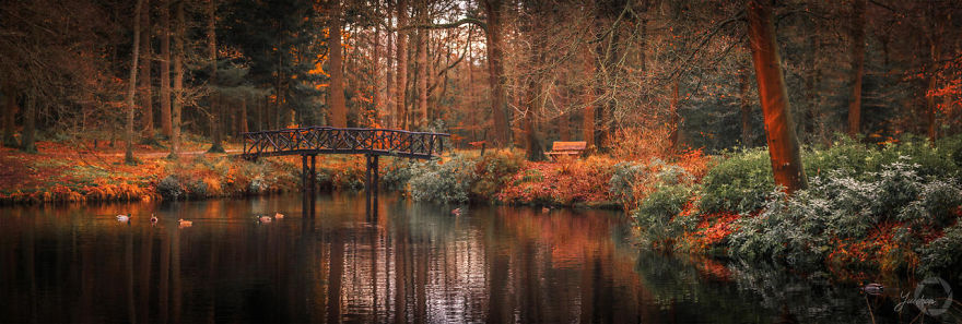 I Capture The Fairy-Tale Like Magic Of Nature
