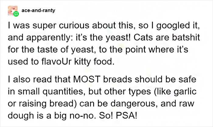 Tumblr User Explain Why Cats Are Obsessed With Eating Bread